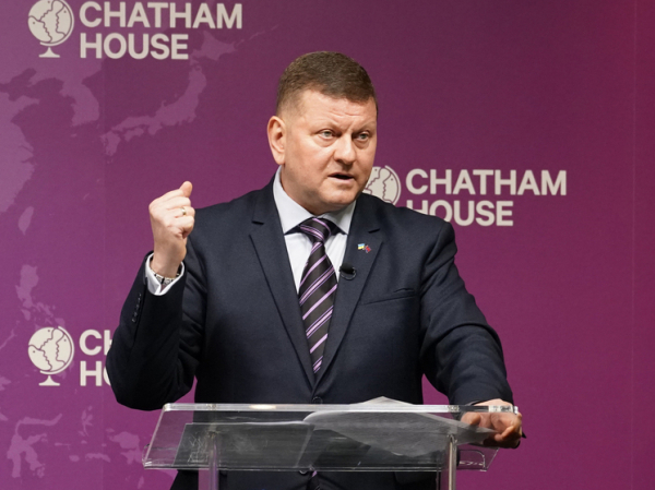 "Трибунал вместо выборов": офицер ВСУ резко выступил против Залужного