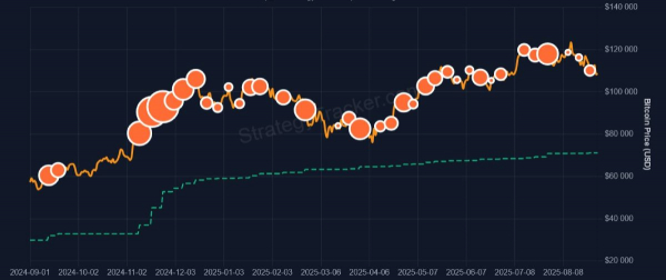 
                    Компании Strategy повезло избежать иска из-за ущерба на $5,9 млрд                