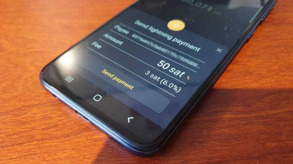 
                    В космосе обработана первая транзакция в сети биткоина Lightning                