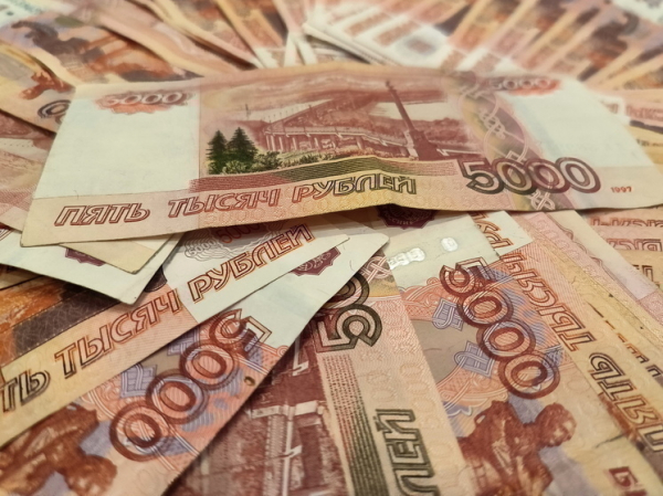 Объяснено, когда в РФ заработает механизм взыскания налоговых долгов без суда