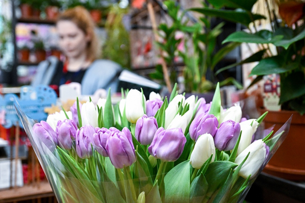 Цветы ко Дню учителя подорожали на 20% за год