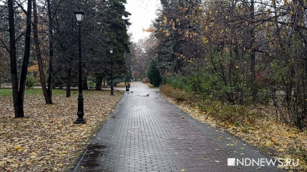Теплая и влажная погода: температура воздуха в Москве превысит климатическую норму