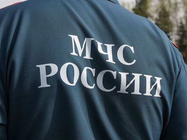 Альпинист сделал заявление о месте пропажи семьи Усольцевых в тайге