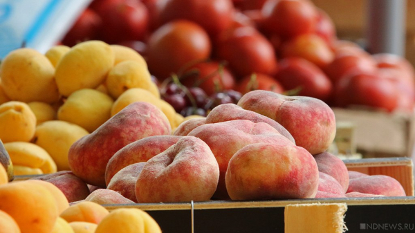 Врачи рассказали, какие продукты добавить в рацион осенью для витаминной поддержки
