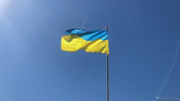 Киев заявил о приостановке мирных переговоров с Москвой