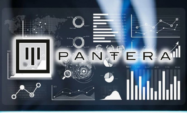 Инвестор Pantera Capital: попасть в венчурный капитал может далеко не каждый